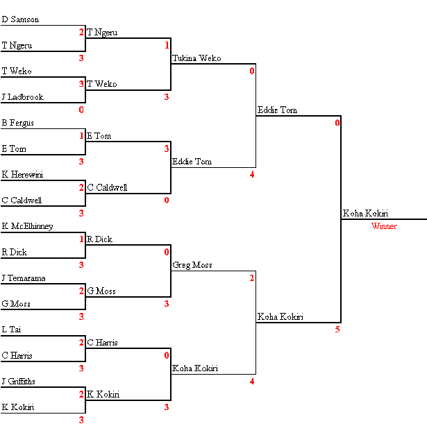 New Zealand Darts Council Nationals 2009